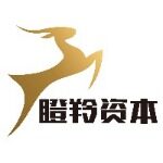 瞪羚资本招聘logo
