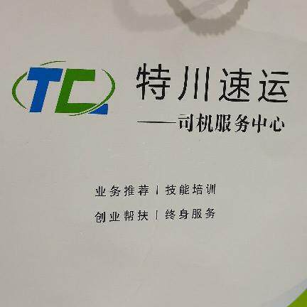 杭州特川运输logo