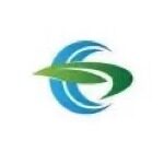 宁波鸾鸟汽车科技有限公司logo