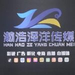 瀚浩泽洋网络科技服务招聘logo