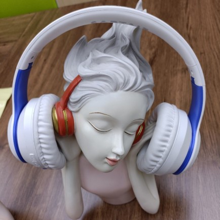 东莞市乐尔电子有限公司