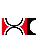 珠海市冠翔实业有限公司logo
