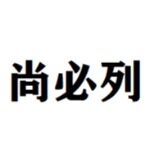 尚必列（深圳）电子商务有限公司logo