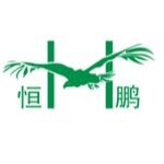 佛山市顺德区恒鹏电子有限公司logo