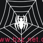 白蜘蛛智能科技招聘logo