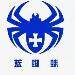 山东蓝蜘蛛logo