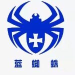 山东蓝蜘蛛财税控股集团东营分公司logo