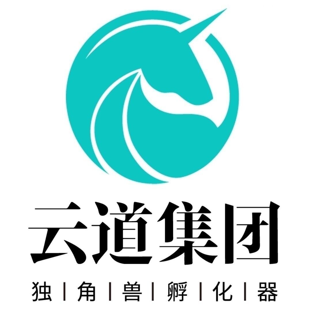 深圳云道控股集团有限公司logo