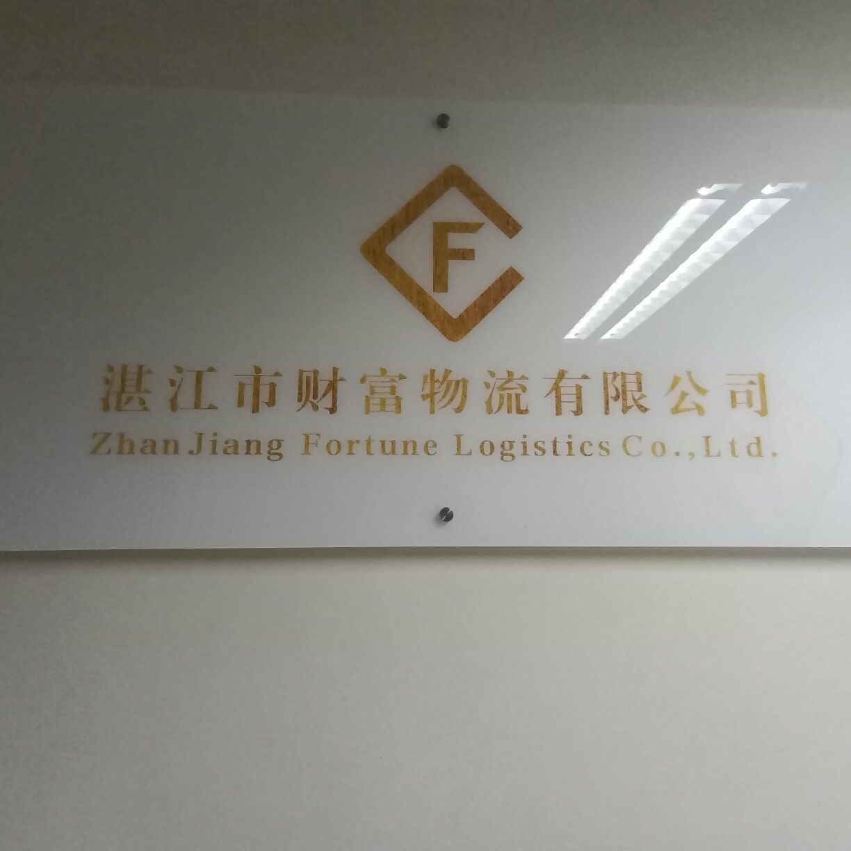 湛江市财富物流有限公司logo