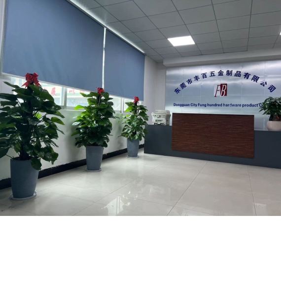 东莞市丰百五金制品有限公司