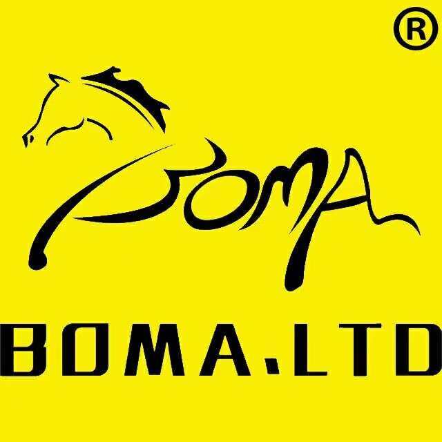 博马电子科技招聘logo