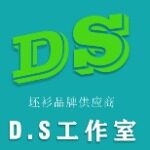DS工作室招聘logo