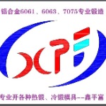 鑫平富五金科技logo