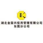 湖北金霖信用管理有限公司东莞分公司logo