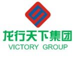 广东龙行天下科技有限公司logo