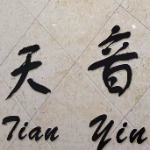 宁波天音企业管理有限公司招聘logo