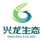 兴龙生态集团招聘logo