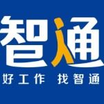 重庆智通美瀚人力资源服务有限公司logo