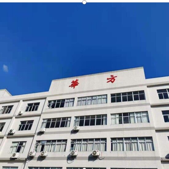 东莞市华方电子技术有限公司logo