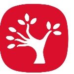 杏林圣手（深圳）教育管理有限公司logo
