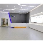 东莞威雅利实业有限公司