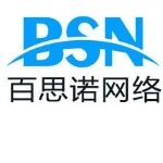 临沂百思诺网络技术有限公司logo