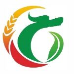 华之元电子科技招聘logo