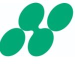 东莞日华新材料有限公司logo
