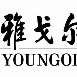 宁波雅戈尔服饰有限公司金华分公司logo