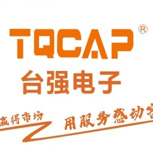东莞台强电子有限公司logo
