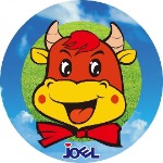 东莞市乔尔包装制品有限公司