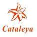 Cataleya外贸跟单助理招聘