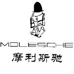 摩利斯驰（东莞）科技有限公司logo