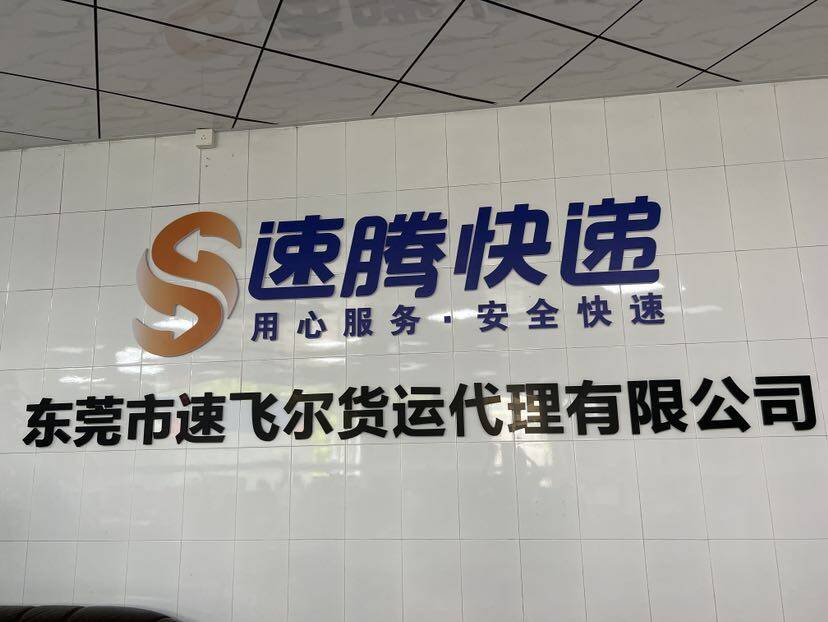 东莞市速飞尔货运代理有限公司logo