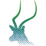 黑斑羚（上海）国际贸易有限公司logo