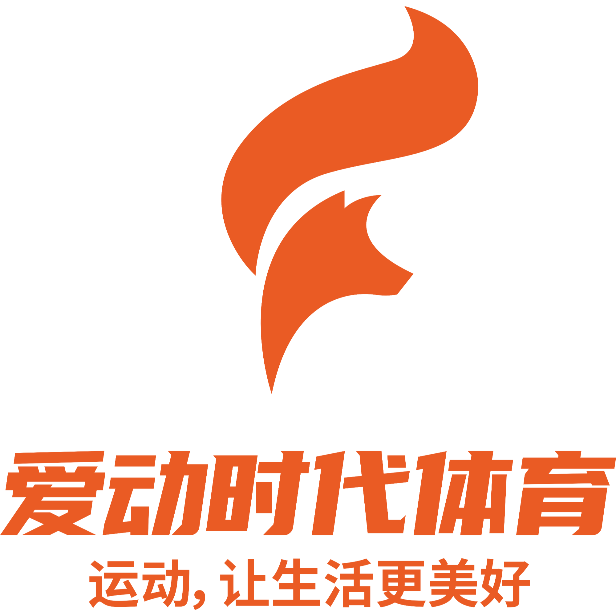 愛動時代體育文旅科技（廣東）有限公司招聘logo