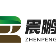 惠州市震鹏电子科技有限公司