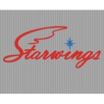 东莞星翼工艺礼品有限公司