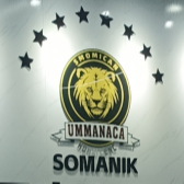 索曼尼克电子招聘logo