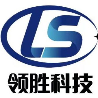 广东领胜计算机科技有限公司logo