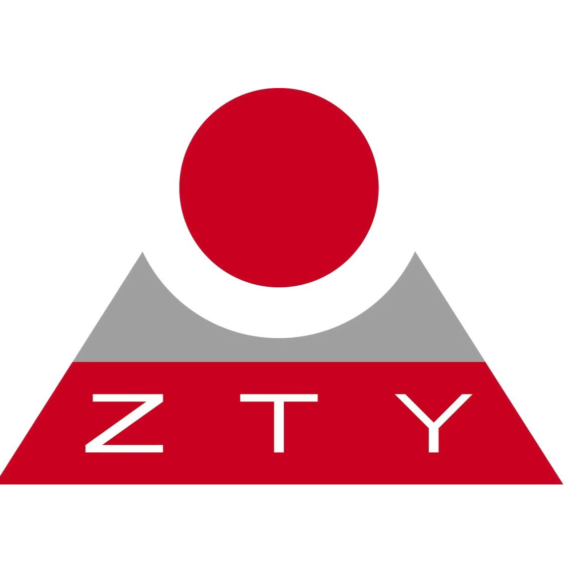 广东省中天元实业有限公司