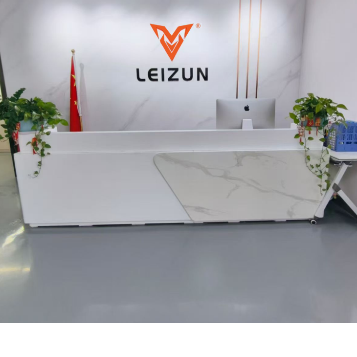 东莞市雷尊电子科技有限公司