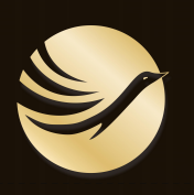 广东金鲲低空经济发展有限公司