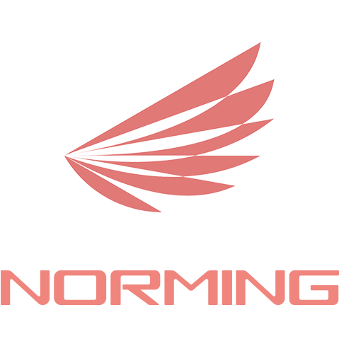 江门市诺明光电有限公司招聘logo