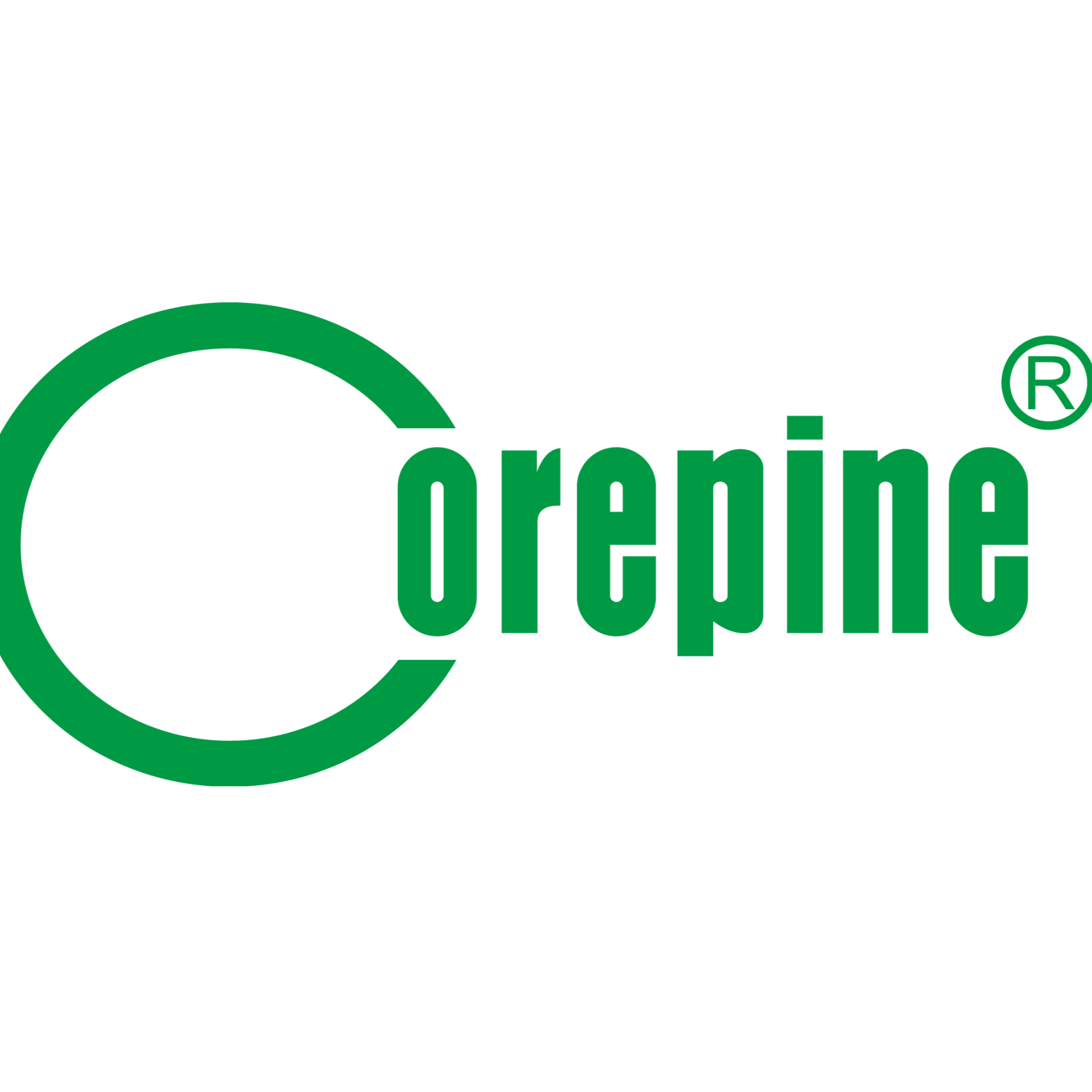 惠州市庸派科技有限公司招聘logo