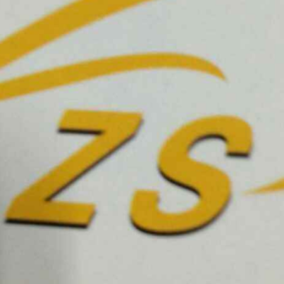 展硕塑胶制品招聘logo