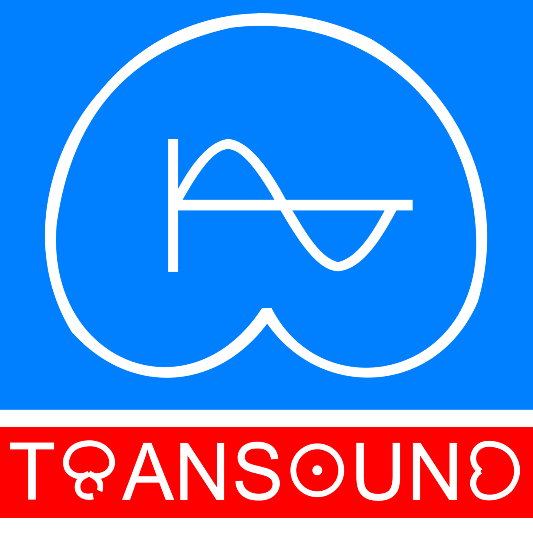 东莞泉声电子有限公司