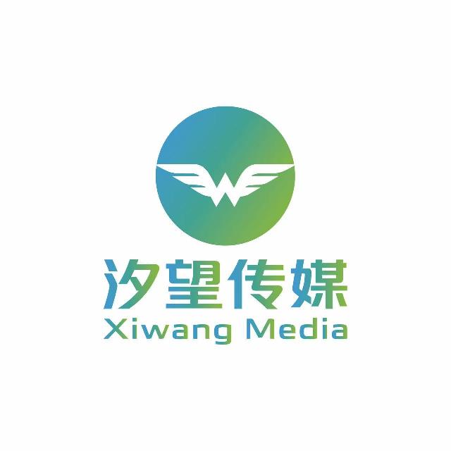汐望咨询logo