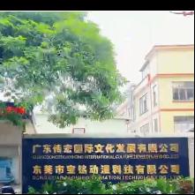 东莞市宝铭动漫科技有限公司