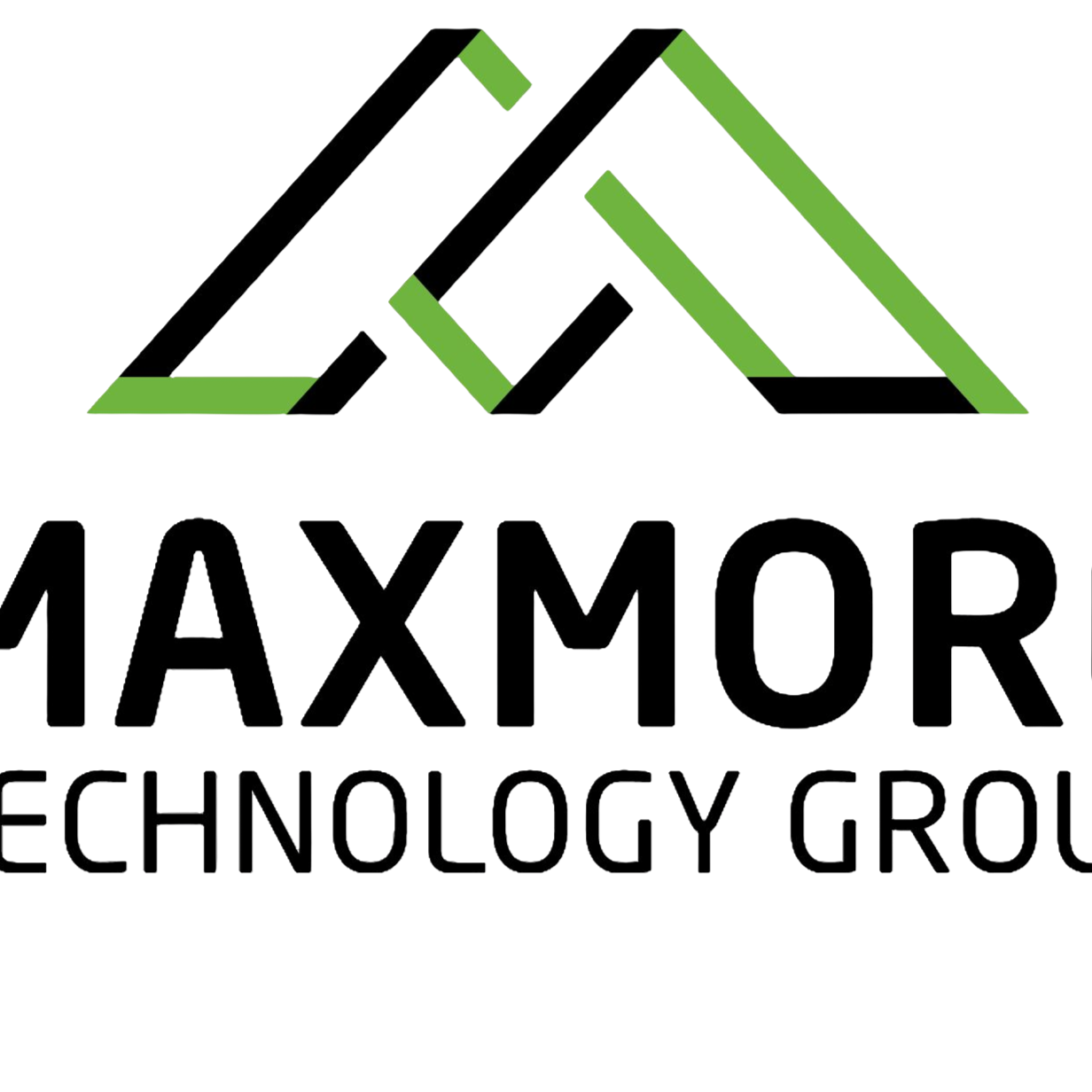 广东德玛电子有限公司招聘logo